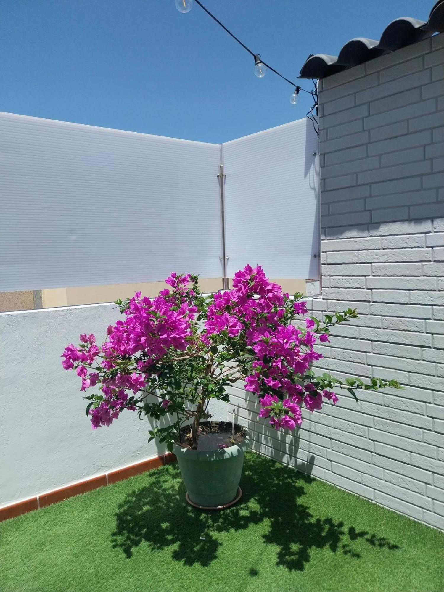 شقة Roque'S House تيلدي المظهر الخارجي الصورة